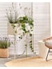 Beliani Indoor Blumentopf TAPIEN in Beige - (W) 70 x (H) 100 x (L) 30 cm