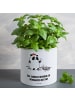 Mr. & Mrs. Panda XL Blumentopf Panda Weihnachtsgeschenk mit Spruch in Weiß