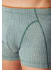 Schiesser Shorts in Grün