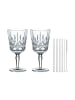 Nachtmann 2er Set Cocktailgläser mit Glastrinkhalmen Noblesse 355 ml in transparent