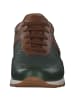 Galizio Torresi Sneakers Low in OLIVA-OLIV.BUC-SET