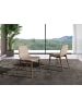 Angel Cerdá Stuhl 4049 in Beige/Walnuss – (B)60 x (H)78 x (T)48 cm