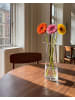 Beliani Blumenvase MANNA in Transparent - (W) 14 x (H) 26 x (L) 14 cm