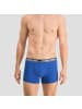 HEAD Boxershorts 5er Pack in Blau