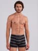 Happy Shorts Trunk Jersey in Stripe