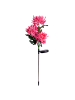 näve LED-Solar-Erdspieß "Blume" h:79cm rose