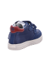 Naturino Sneaker in blau