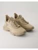 Steve Madden Sneaker low in Beige
