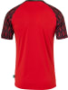 uhlsport  Trainingsanzug "Reaction Goalkeeper Set" in Rot