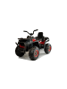 Wisam® Elektrisches Quad XMX607 lackiert