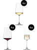 Schott Zwiesel 12er Set Wein- & Sektgläser MioVino in transparent