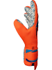 Reusch Torwarthandschuhe Attrakt Freegel Fusion in 2290 shocking orange/blue