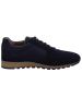 Pius Gabor Sneaker  in Blau