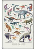 Juniqe Poster in Kunststoffrahmen "Dinosaurs" in Bunt
