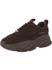 Steve Madden Sneaker low Possession-E in dunkelbraun