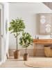 Beliani Kunstpflanze LEMON TREE in Grün/Schwarz - (W) 66 x (H) 156 x (L) 66 cm