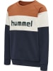 Hummel Hummel Sweatshirt Hmlclaes Jungen Atmungsaktiv in SIERRA