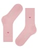 Burlington Socken Bloomsbury in Rosewater