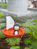 Plan Toys Segelboot Pinguin ab 12 Monate