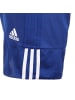 adidas Performance Trainingsshorts 3G Speed Reversible in blau / weiß