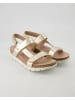 PANAMA JACK Plateau Sandalen in Gold