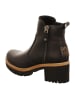 PANAMA JACK Stiefelette in schwarz
