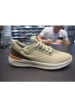 Skechers Footwear sportlicher Schnürer Latti More in Beige