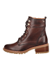 Pikolinos Stiefelette in Dunkelbraun