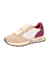 Sun68 Sneaker Low in beige