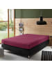 Erwin Müller Single-Jersey Boxspringbett-Spannbettlaken Freising in aubergine