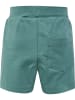 Hummel Hummel Kurze Hose Hmlazur Jungen in SEA PINE