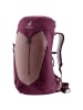 Deuter AC Lite 14 SL - Women's Wanderrucksack 54 cm (alu-greystone) in ashrose-cassis