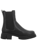 Apple of Eden Stiefeletten in schwarz