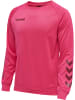 Hummel Hummel Sweatshirt Raglanärmel Hmlpromo Herren in RASPBERRY SORBET
