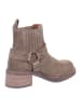 Apple of Eden Stiefeletten/Boot in taupe