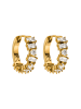 PURELEI Ohrringe Chic in Gold