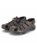 Beliano Sandalette in brown