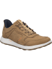 Josef Seibel Sneaker Clint 03 in braun