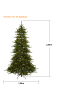 STAR Trading LED Weihnachtsbaum Minnesota, außen, 250cm in Grün