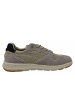 Camel Active sportlicher Schnürer  in Beige
