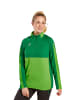erima Unisex Erwachsene, Erwachsene Six Wings Trainingstop in green/smaragd