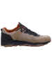 Bugatti Sneaker Amper in Beige