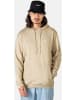 Reell Hoodie "Staple Terry Hoodie" in Grün