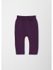 s.Oliver Leggins in 4836_flieder