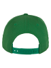  Flexfit  Flexfit Snapback in classic green