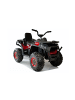 Wisam® Elektrisches Quad XMX607 lackiert