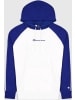 Champion Hoodie Hooded Sweatshirt in Blau