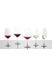 Schott Zwiesel 6er Set Burgundergläser Taste 790 ml in transparent