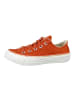 Converse Sneaker braun