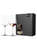 Eisch 2er Set Allroundgläser Inspire SensisPlus 580 ml in Green